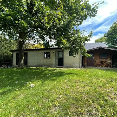 With Scenic Terrace *